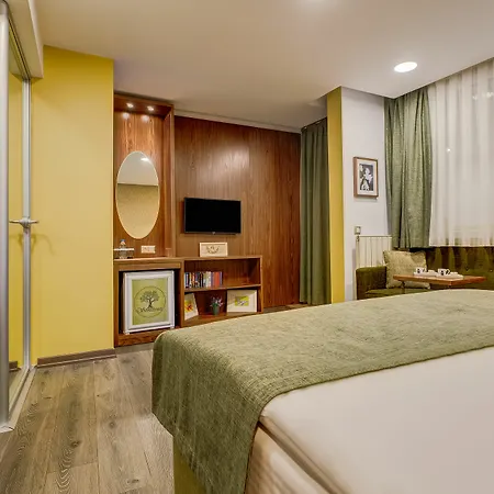 Sometimes Taksim 3* Provincia di Istanbul